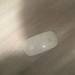 working Apple mouse